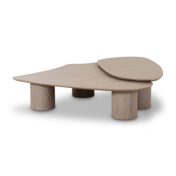Elizabetta Washed Ash Nesting Coffee Table Set