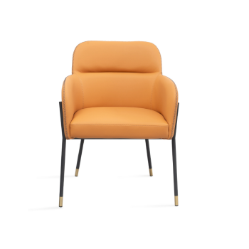 Heidy Dining Armchair