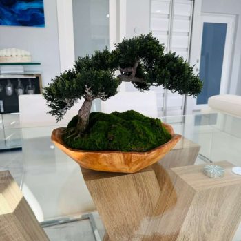 Bonsai base Rustica de madera