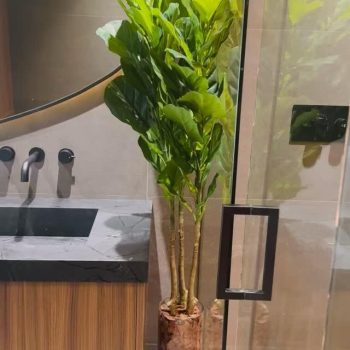 Planta de piso con base cristal transparente