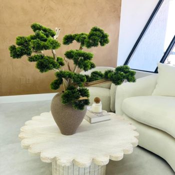 Bonsai de mesa con base de ceramica beige