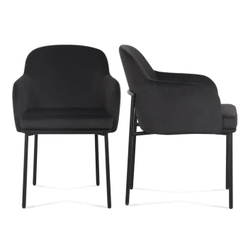 Ney Performance Velvet Armchair - Set of 2